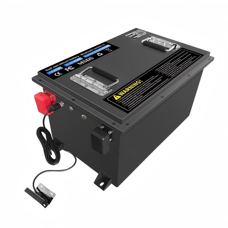 Paquete de batería LiFePO4 48V para vehículos de golf y vehículos eléctricos de paseo y patrullaje